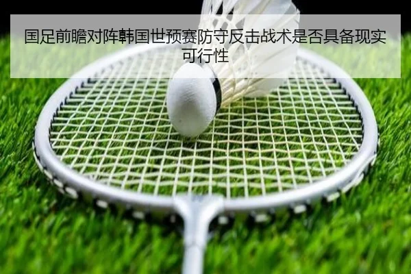 国足前瞻对阵韩国世预赛防守反击战术是否具备现实可行性