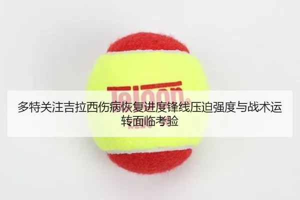 多特关注吉拉西伤病恢复进度锋线压迫强度与战术运转面临考验